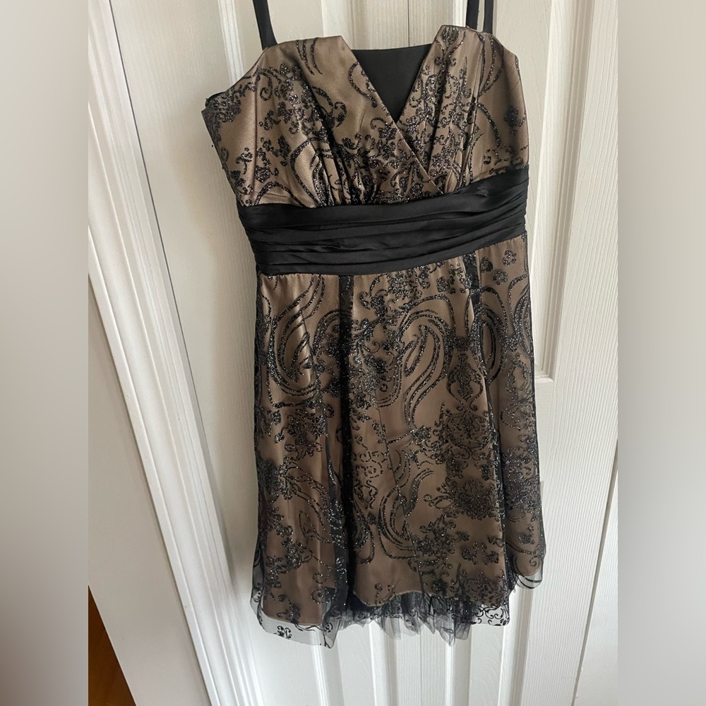 Le Chateau Black and Tan Lace Dress
